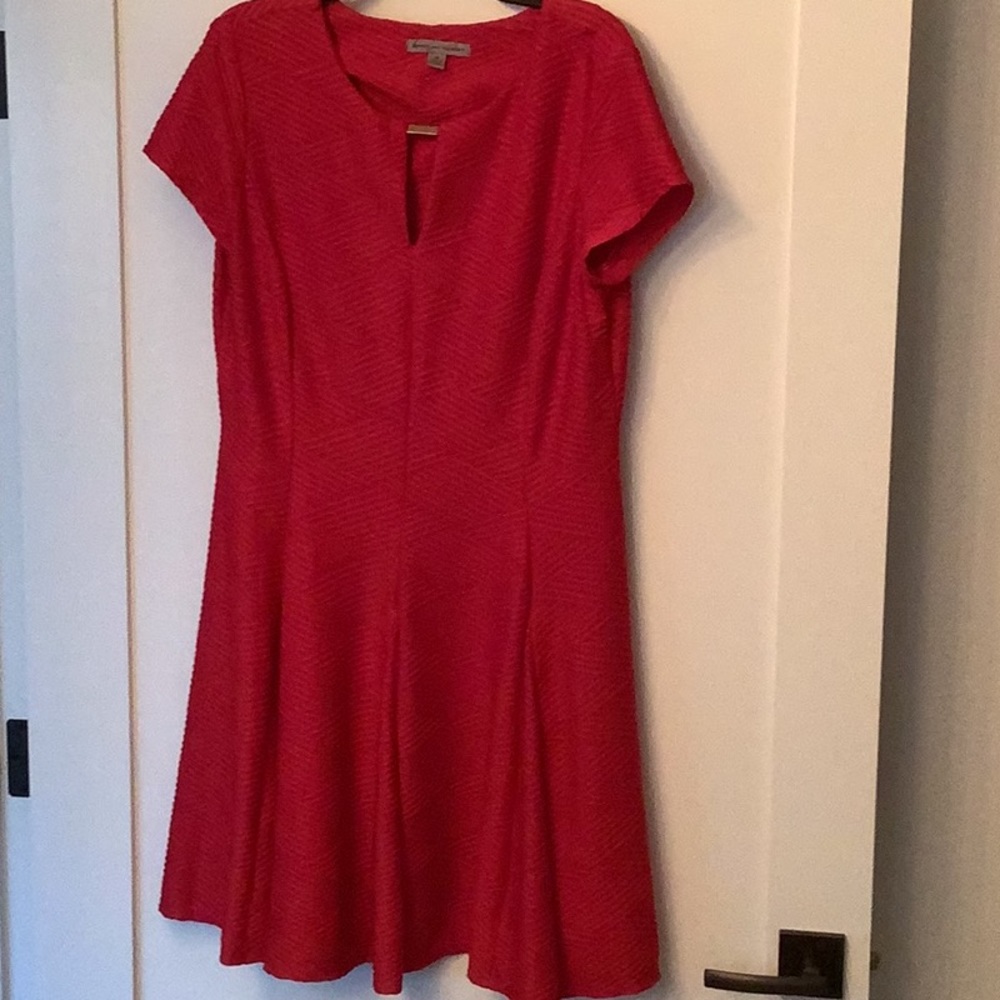 Wedding Guest Dress ❣️